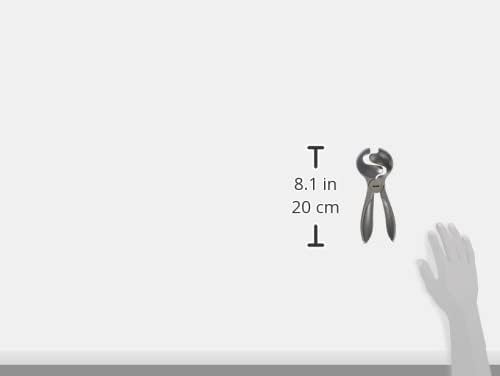 ibili Ice Cream Scoop Function 20 cm, Coated Metal, Silver, 20 x 5 x 5 cm