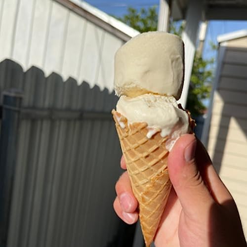 Ice Cream Scoop Stainless Steel, Cylindrical Scooper with Trigger Release