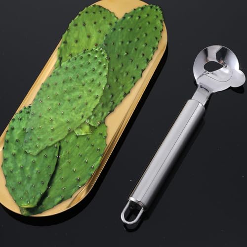2 Pack Cactus Peeler Spoon, Stainless Steel Pelador de Nopales Multi-Function Spoon Shape Cutter with Long Handle Spoons Cactus Thorn Removal Tool for Carrot Potato Vegetables