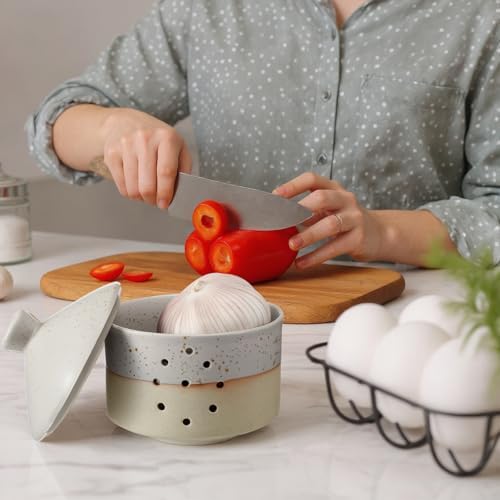 Honeydak 1 Pcs Large Ceramic Garlic Keeper with Lid & Holes, 4" x 4.5" Decorative Countertop Storage Container for Farmhouse Kitchen, Keeps Garlic Cloves Fresh, White