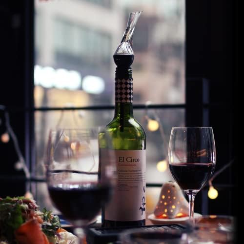 Wine Aerator Pourer (2 Pack, Silver and Black) by Vintorio