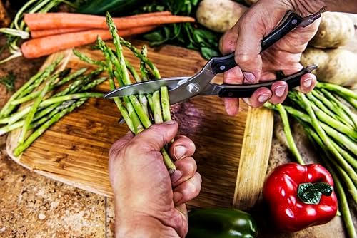 Oklahoma Joe's Blacksmith Meat Shears