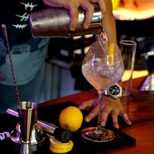 Lexenic 6-Piece Cocktail Shaker Set Bartender Kit-(Kit E)