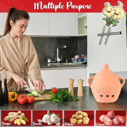 Home-X Unglazed Terracotta Garlic Keeper, Kitchen Counter Accessory, Farmhouse Storage Container with Lid, Small Storage Jar for Garlic Bulbs, 5 ΒΌβ D x 4 ΒΌβ H, Terra Cotta