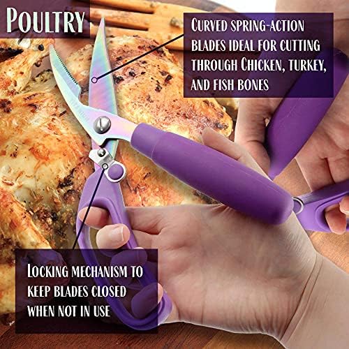 Ultimate Value Scissor Set for Kitchen and Craft Set- 1 Set (5 Scissors)
