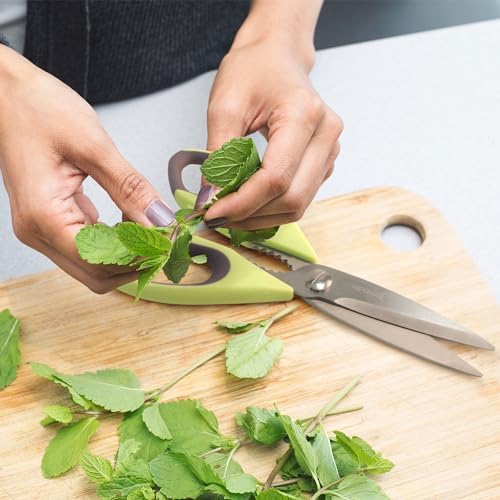Premium Kitchen Shears - Bay Leaf Green - 3 Scissors