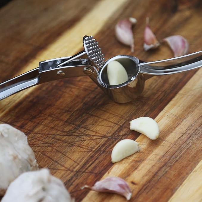 TRIXES Garlic Press, Steel Kitchen Utensil Ginger Mincer