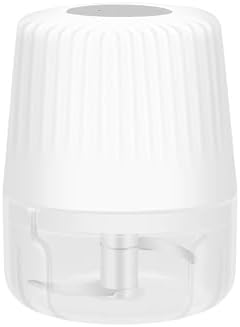 100ML Garlic Chopper, Electric Garlic Mincer, Mini Food Processor
