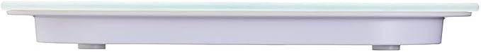 Taylor Pro Digital Kitchen Food Scales, Compact Professional Standard with Precision Accuracy and Waterproof Design with Tare Feature, White Glass, Weighs 14 kg/14 L Capacity
