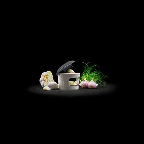 LURCH Germany 3-in 1 Garlic Chopper and Press (Grey)