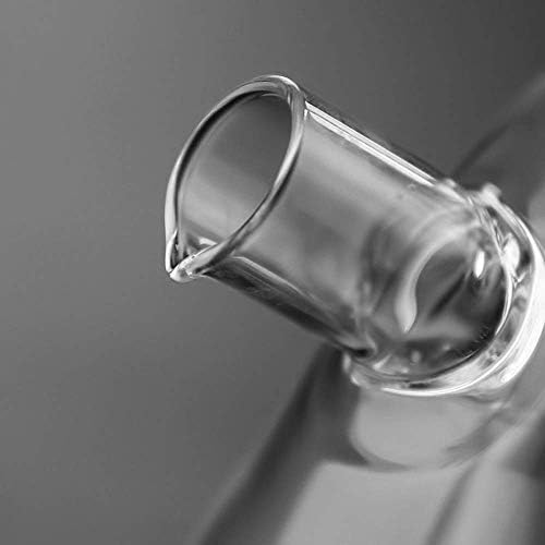 Clear Glass Oil and Vinegar Bottle, 2 in 1 Olive Oil Dispenser Cruet Bottles Double Pourer Spout Stoppers Kitchen Supplies for Cooking