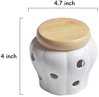 Sizikato Blue Matte Ceramic Garlic Keeper Ginger Holder with Bamboo Lid.