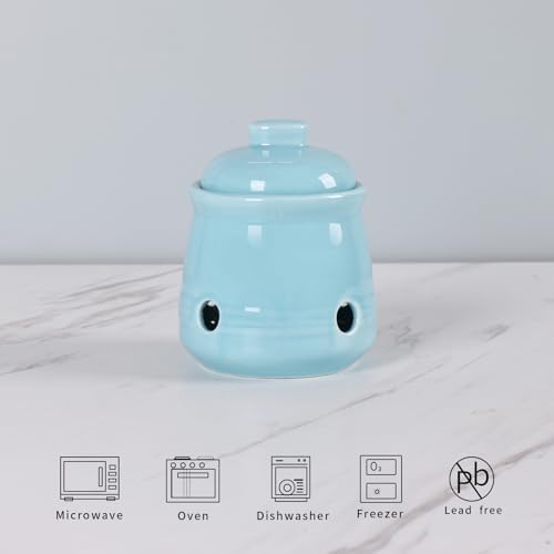 Ceramic Garlic Keeper with Lid, Mini Garlic Saver Container for Countertop, Kitchen Decor (Turquoise)