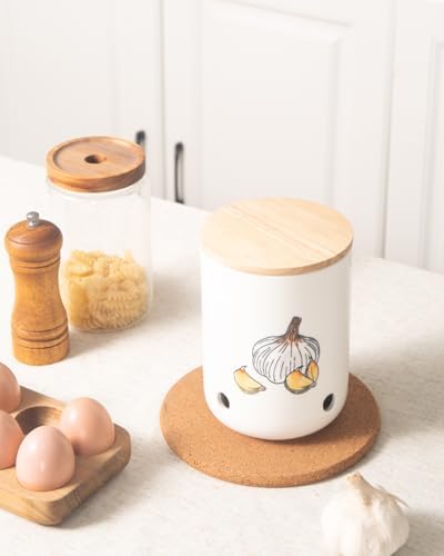 Ceramic Garlic Keeper, Garlic Holder, Garlic Storage Container, Colorful