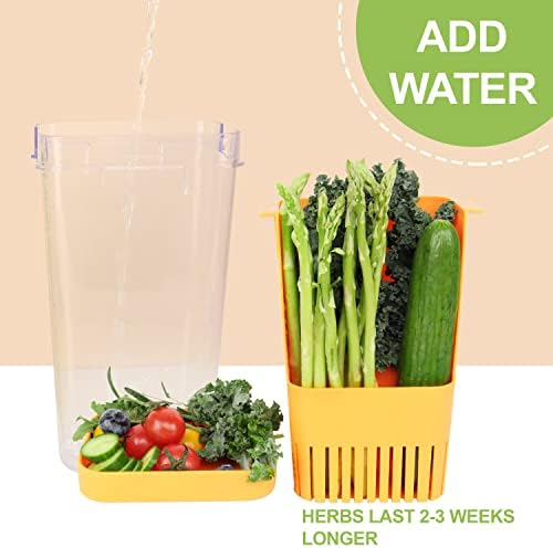LUVCOSY Fresh Herb Keeper for Refrigerator, Clear BPA-Free Herb Saver, Storage Container for Cilantro, Parsley, Thyme, Mint & Asparagus, Preserver Keeps Fresh Herbs for 3 Times Longer, Orange