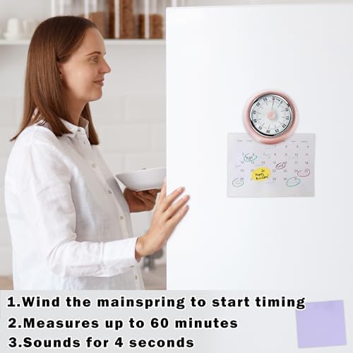 60-Minute Magnetic Visual Timer, Silent Operation and No Battery Needed, Time Management Tools for Kitchen, Homeschool Desk, Office Meetings & Home Learning Timer (Pink-X2)