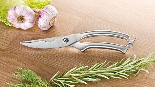 Esmeyer Poultry Shears "Polly Special Steel Blade" Handle 18/0 Stainless Steel with Clip Closure 26.7 x 6 x 2.2 cm