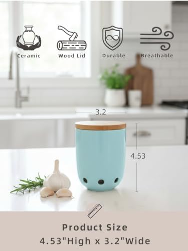 LEETOYI Ceramic Garlic Keeper for Counter, Garlic Holder with Wood Lid (Turquoise)