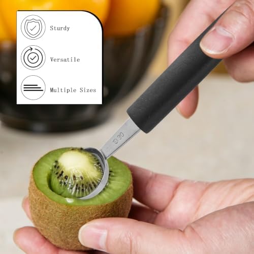 5 Pcs Stainless Steel Fruit Scoop Set with Heart Shaped Scoop