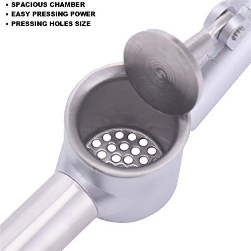 Oye Stainless Steel Garlic Press