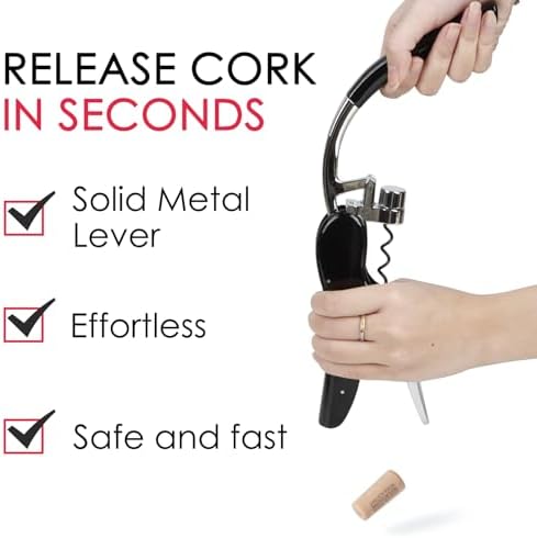 KAYCROWN Stainless Steel Wine Bottle Opener, Compact Vertical Lever Corkscrew with Foil Cutter and Extra Spiral, Manual Handheld Corkscrew with Ergonomic Lever Pump (Black)