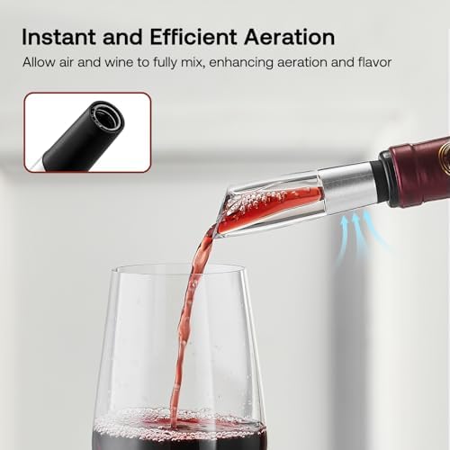 Elegant Wine Aerator Pourer Spout by ELMWAY - Clear Wine Air Aerator Enhances Flavor, Aroma & Finish, No Spill Design, Wine Accessory Gift for Wine Lovers - Silver