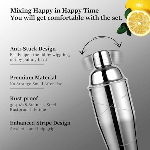 Lexenic 6-Piece Cocktail Shaker Set Bartender Kit-(Kit E)