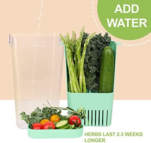 LUVCOSY 2 Pack Herb Keeper, BPA-Free Plastic Herb Saver with an Inner Basket for Cilantro, Mint, Parsley, and Asparagus, Keeps Fresh Herbs for 3 Times Longer