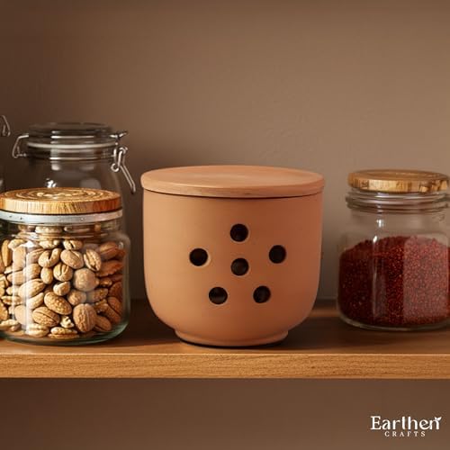 EARTHEN CRAFTS Terracotta Garlic Keeper with Lid 4.5" Handmade Clay Storage Jar with Vent Holes for Kitchen Countertop, Breathable Rustic Garlic Crock for Fresh Cloves