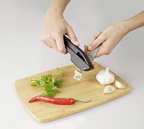 Fackelmann Garlic Press, Garlic & Ginger Crusher & Mincer, Easy Clean Removable Press, Plastic Handle with Stainless Steel Squeezer, 16.5x6x3cm, Grey