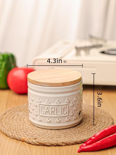 GDCZ Garlic Keeper with Lid, Ceramic Garlic Holder, 4.3 Inch (White)