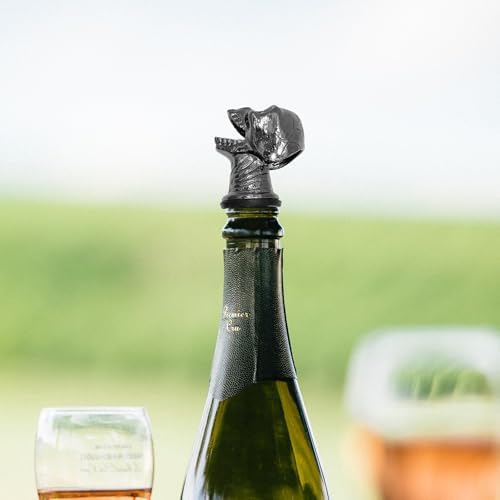 Linkidea 2 Pack Skull Aerator Pourer, Decanter Spout for Wine, Whiskey, Gothic Skull Bar Gadget for Smooth Pouring, Party & Home Bar Accessory, Halloween Christmas New Year Gift