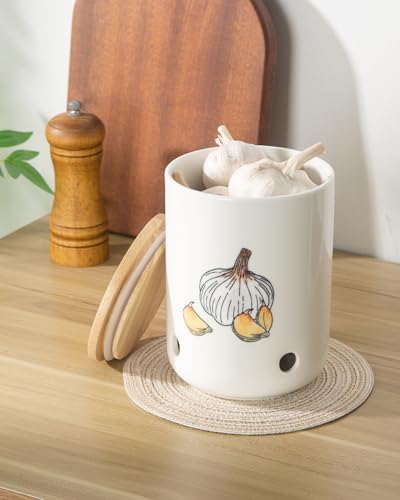 Ceramic Garlic Keeper, Garlic Holder, Garlic Storage Container, Colorful