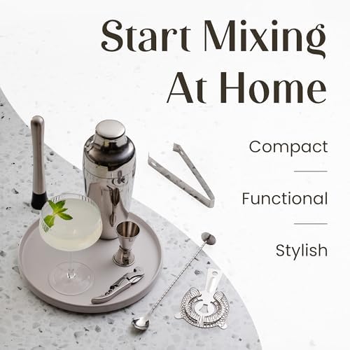 Mixology & Craft Cocktail Shaker Set with Bamboo Stand - Professional 10-Piece Bartender Kit, Complete Bar Set for Home Use with Jigger, Muddler, Strainer, Spoon, Pourers & Corkscrew (Silver)
