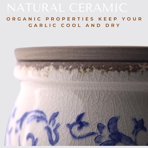 Okavango Garlic Keeper - Terracotta Garlic Container - Garlic Storage - Garlic Holder Countertop - Garlic Holder Ceramic - Jar - Saver -Bowl - Cellar (Ivory, 16oz)