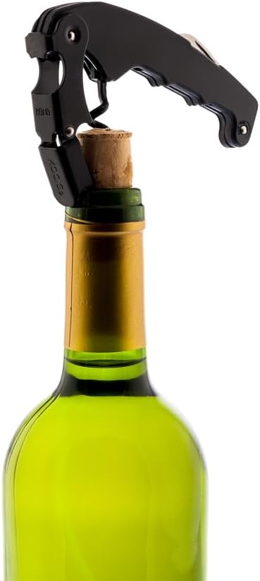 Corkscrew Koala