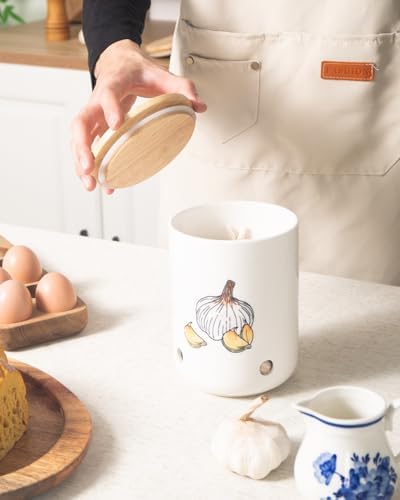 Ceramic Garlic Keeper, Garlic Holder, Garlic Storage Container, Colorful