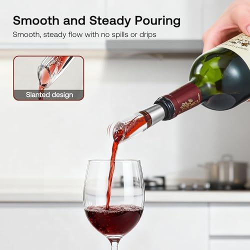 Elegant Wine Aerator Pourer Spout by ELMWAY - Clear Wine Air Aerator Enhances Flavor, Aroma & Finish, No Spill Design, Wine Accessory Gift for Wine Lovers - Silver