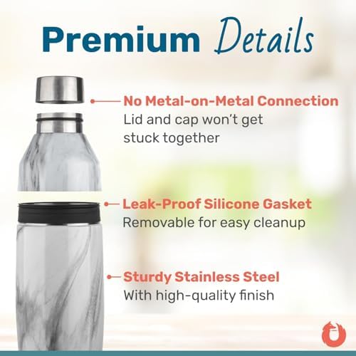 SNOWFOX Premium Vacuum Insulated Stainless Steel Cocktail Shaker, Home Bar Accessories, Elegant Drink Mixer, Lid With Jigger & Built In Strainer, Shimmer Gold, 22oz.