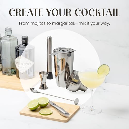 Mixology & Craft Cocktail Shaker Set with Bamboo Stand - Professional 10-Piece Bartender Kit, Complete Bar Set for Home Use with Jigger, Muddler, Strainer, Spoon, Pourers & Corkscrew (Silver)