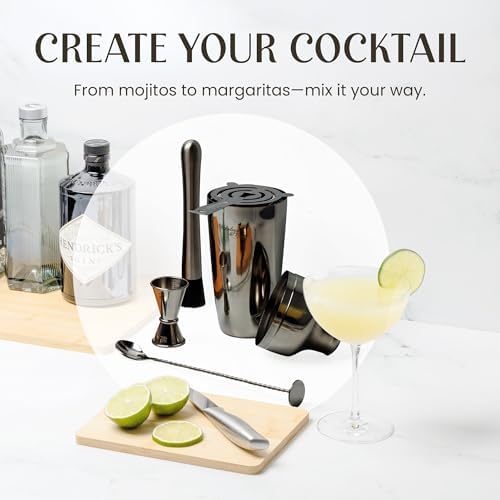 Mixology & Craft Cocktail Shaker Set with Bamboo Stand - Professional 10-Piece Bartender Kit, Complete Bar Set for Home Use with Jigger, Muddler, Strainer, Spoon, Pourers & Corkscrew (Gunmetal)