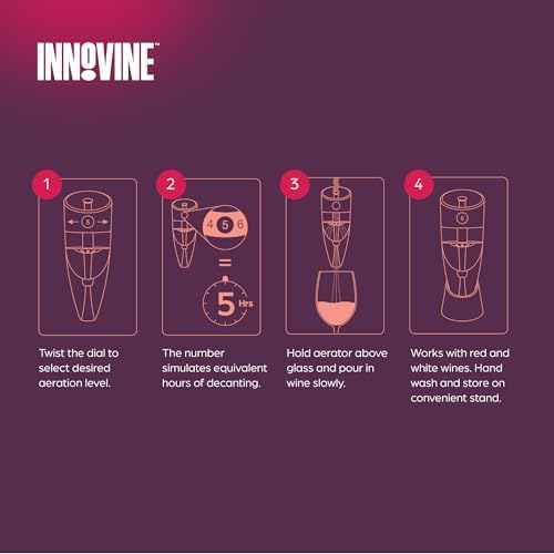 Innovine Wine Aerator, Instant Decanter with Adjustable Dial to Custom Aeration, Enhance Flavor, Smooth Pour, Perfect for White and Red Wines, Home Bar Accessories, Set of 1, Graphite
