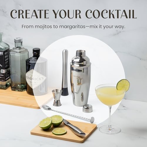 Modern Mixology 8-Piece Cocktail Shaker Set with Velvet Bag | Complete Kit for Bartenders | Includes Shaker with Strainer, Jigger, Muddler, Spoon, Pourers | Travel Bar Essentials (Silver)