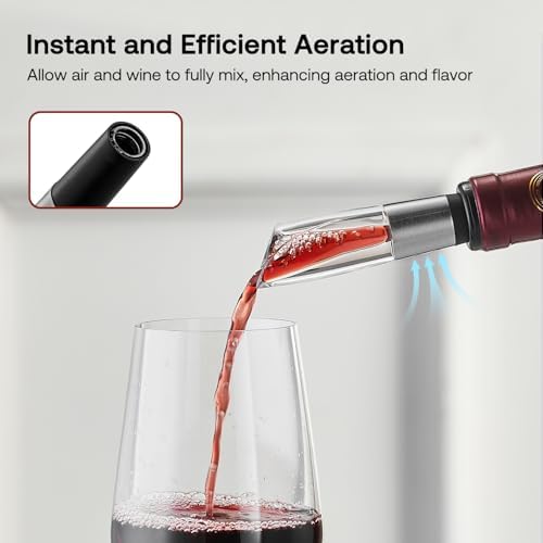 Elegant Wine Aerator Pourer Spout by ELMWAY - Clear Wine Air Aerator Enhances Flavor, Aroma & Finish, No Spill Design, Wine Accessory Gift for Wine Lovers - Gunmetal