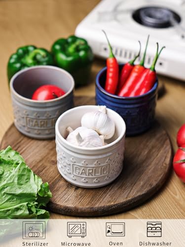 GDCZ Garlic Keeper with Lid, Ceramic Garlic Holder, 4.3 Inch (Grey)