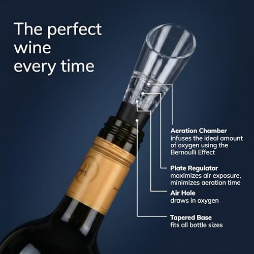 TenTen Labs Wine Aerator Pourer (2-Pack), Decanter Spout, Black