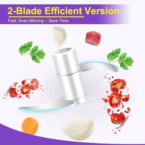 100ML Garlic Chopper, Electric Garlic Mincer, Mini Food Processor