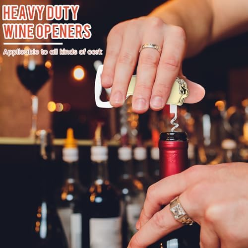 Ziliny 24 Pcs Wine Bottle Opener Keychains Bulk Corkscrew, Gold
