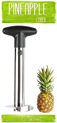 2 Pack Pineapple Slicers Corer Tools Stainless Steel Remove Peel Cut