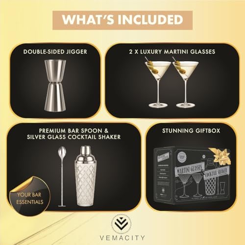 VEMACITY Silver Cocktail Shaker Set + 2 Ribbed Martini Glasses & Bar Tools